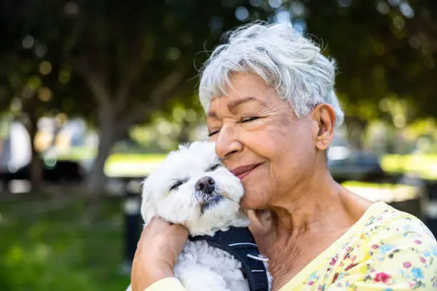pets for the elderly
