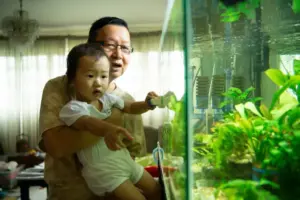 pets for the elderly