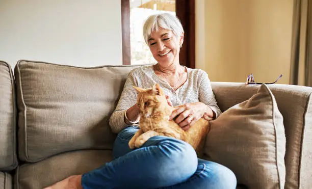 Best Pets For The Elderly