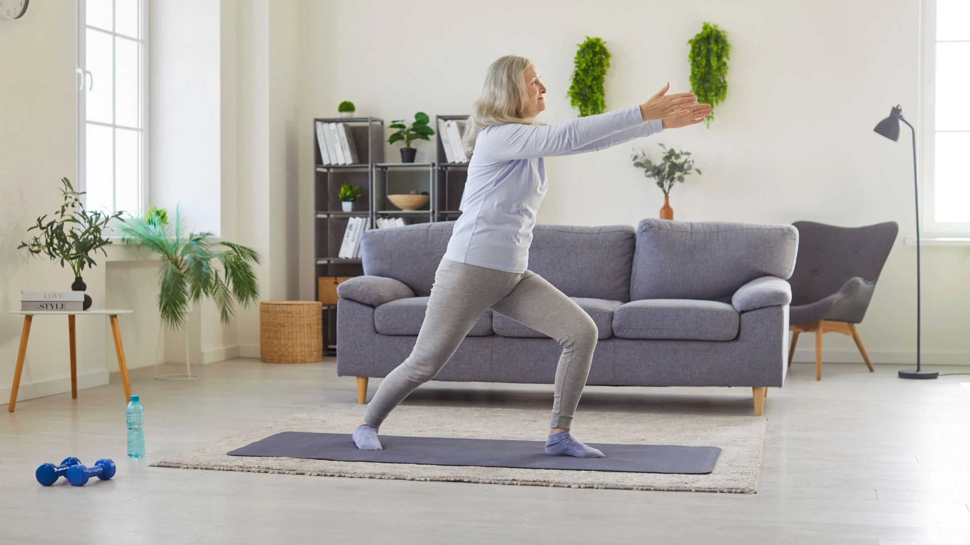 standing mobility exercises for seniors